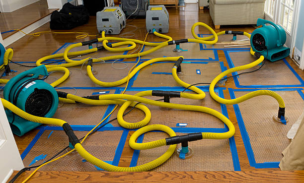 Professional Water Extraction technician working in Springville, AL